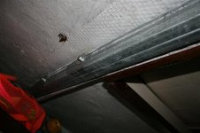 IMG_5737 (Medium).JPG