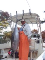 tuna 005 (Medium).JPG