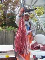 tuna 031 (Medium).JPG