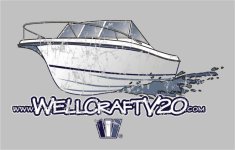 V20Tee2009back.jpg