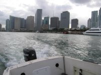 IMG_8516.jpg