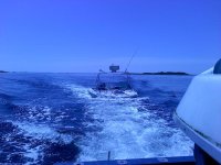 Aug 11, 2010 1.jpg