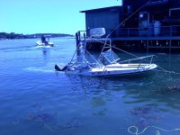 Aug 11, 2010 2.jpg