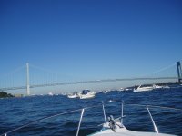 VZ bridge - Weak fishing.jpg