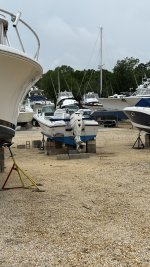 IMG_2132.jpeg