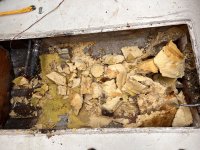 IMG_4021.jpeg