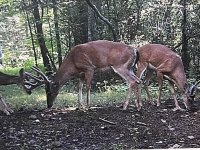 IMG_1037.jpg