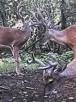 IMG_1038.jpg