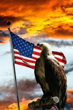 America is the greatest.jpg