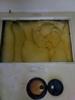 foam Shot.jpg
