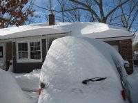 IMG_1036.jpg