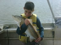 IMG00139.jpg
