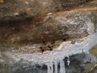 tank removal 014.jpg