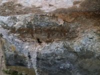 tank removal 015.jpg