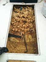 tank removal 017.jpg