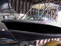 Black hull.jpg