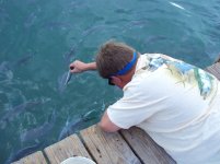 Keys Vacation - 2011 023.jpg Keys Vacation - 2011 023.jpg