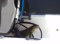 Keys Vacation - 2011 070.jpg