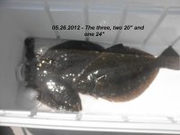 05.26.2012 - The three taken home.jpg
