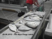 09.06.2012 - The days Porgy catch.jpg
