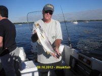 09.16.2012 - Weakfish.jpg