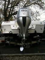 rear shot.jpg