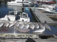09.21.2012 - Catch of the day.jpg