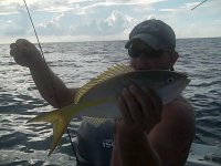 db yellow (Small).jpg