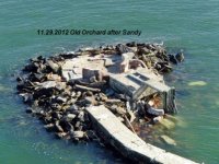 11.29.2012 - Old Orchard after Sandy.jpg