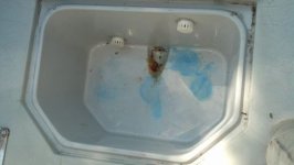IMG_20130615_103021_657.jpg