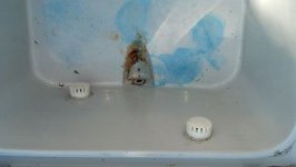 IMG_20130615_103042_828.jpg