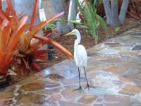 Keys Vacation 2013 025.jpg