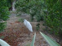 Keys Vacation 2013 028.jpg