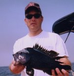seabass02.jpg