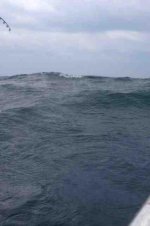 rough erie.jpg