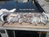 09.18.2015 - Our catch for the day.jpg