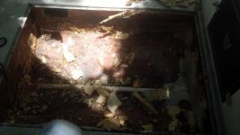 fuel tank well before.jpg