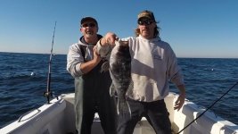 fish nov 2015-Neal seabass2.jpg