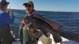 fish Nov 2015-Mark seabass2.jpg
