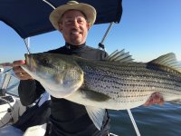 Stripers 11-4-15.jpg