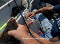 06.24.2016 - Shorts for Louie and George.jpg