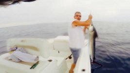 white marlin2.jpg