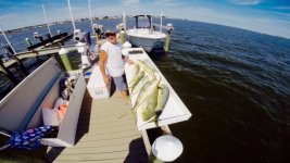 Toms canyon mahi 1.jpg