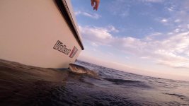 v20 bass2016-002.jpg