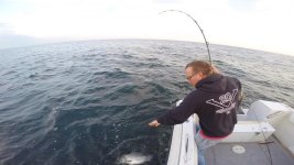 chuck bass2016-001.jpg