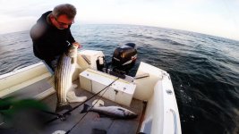 mark bass2016-004.jpg