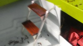 20170120_131158.jpg