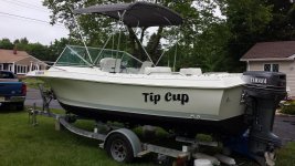 tipcup17.jpg