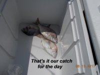 08.13.2017 - That's it our catch for the day.JPG