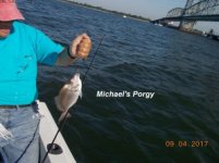 09.04.2017 - Michael's Porgy.jpg